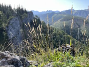 Jesienna Magia Tatr - Zakopane czeka na Singli!