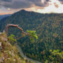 Pieniny dla Singli