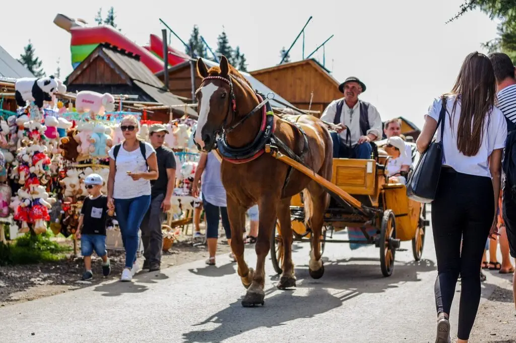 Zakopane dla Singli