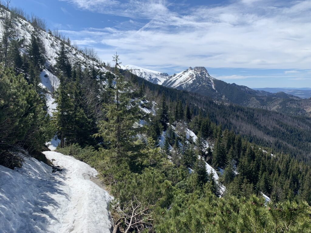 Zakopane dla Singli - krokusy