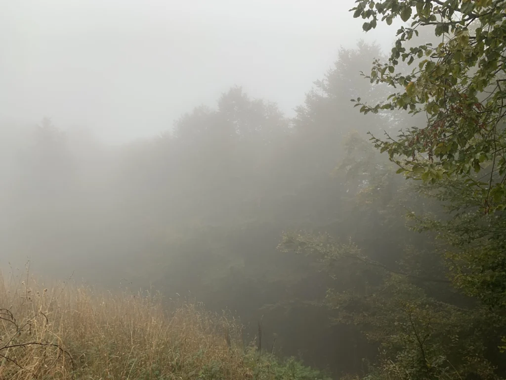 Ustrzyki Górne - Bieszczady dla Singli Połonina Caryńska